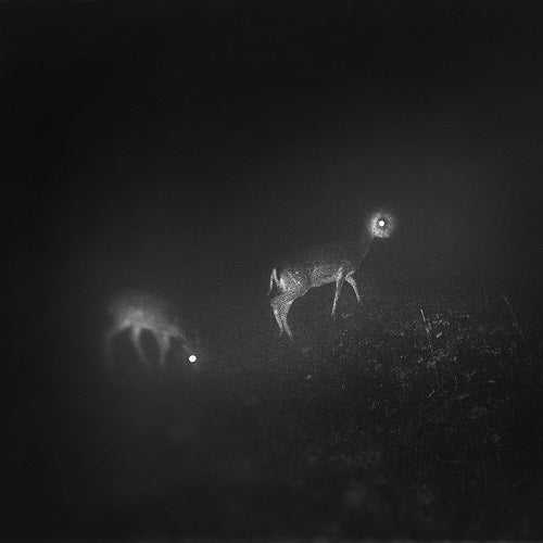 Bliss Signal / Bliss Signal【完全生産限定盤】【アナログ】