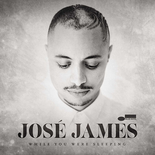 Jose James / While You Were Sleeping【輸入盤】【アナログ】