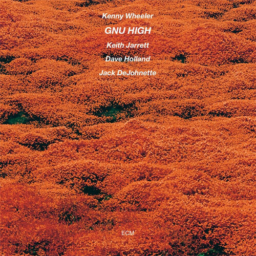 ケニー・ホイーラー / ヌー・ハイ【直輸入盤】【LP】【アナログ】