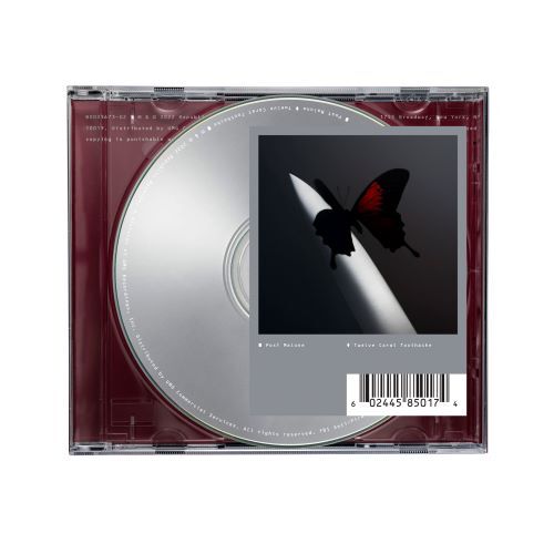 ポスト・マローン / Twelve Carat Toothache【輸入盤】【1CD】【CD】