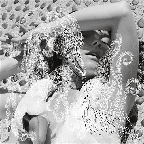ビョーク / Vespertine【2LP】【輸入盤】【アナログ】