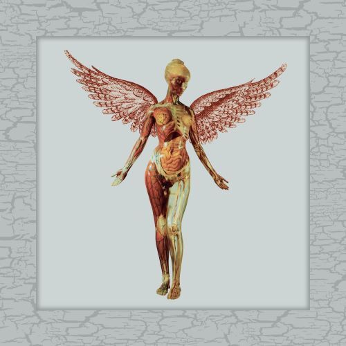 ニルヴァーナ / In Utero(30th Anniversary)【輸入盤】【Super Deluxe】【CD】