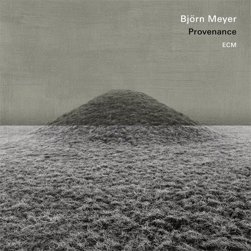 Bj?rn Meyer / Provenance【直輸入盤】【180g重量盤LP】【アナログ】