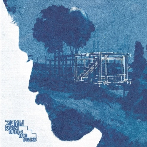 ゼイン / Room Under The Stairs【輸入盤】【2LP】【アナログ】