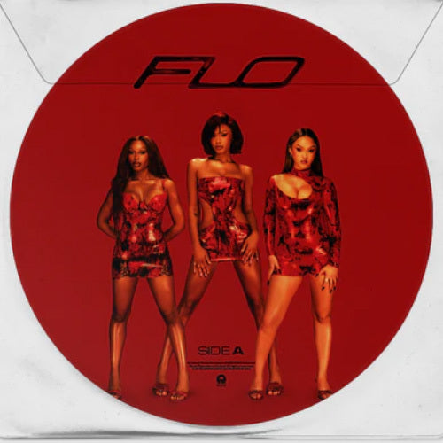 FLO / Access All Areas【輸入盤】【1LP】【UNIVERSAL MUSIC STORE限定盤】【Picture Disc】【アナログ】