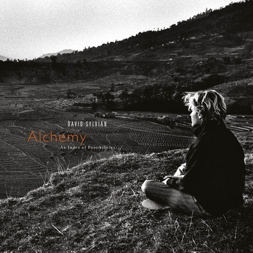 デヴィッド・シルヴィアン / Alchemy: An Index Of Possibilities