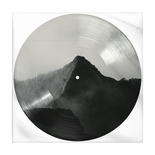 ショーン・メンデス / Shawn【輸入盤】【1LP】【UNIVERSAL MUSIC STORE限定盤】【Picture Disc】【アナログ】