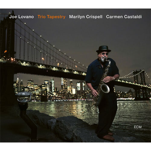 ジョー・ロヴァーノ / Trio Tapestry【直輸入盤】【180g重量盤LP】【アナログ】