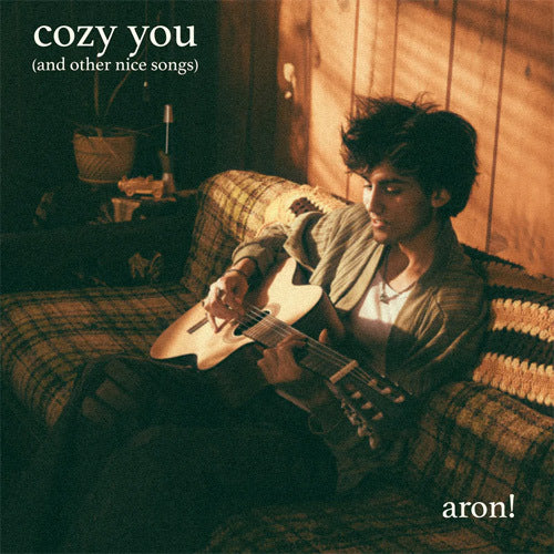 aron! / cozy you (and other nice songs)【直輸入盤,限定盤,EP】【アナログ】