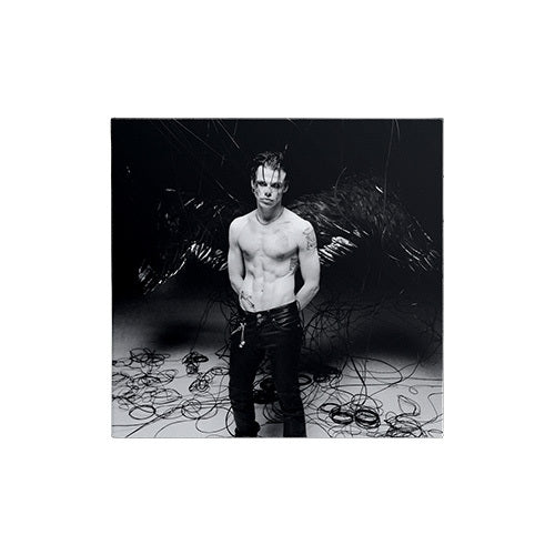 ヤングブラッド / IDOLS COLLECTIBLE COLLAGE CD 6 OF 6【輸入盤】【UNIVERSAL MUSIC STORE限定盤】【1CD】【CD】