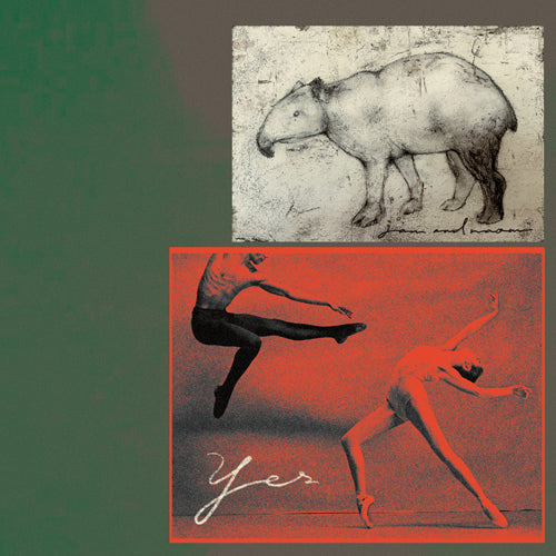 jan and naomi / YES【CD】