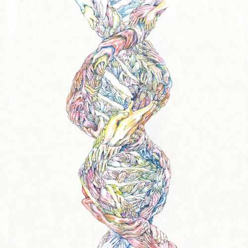 RADWIMPS / ドリーマーズ・ハイ【CDシングル】【CD-EXTRA】