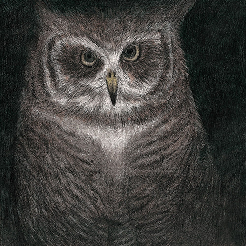 小沢健二とSEKAI NO OWARI / フクロウの声が聞こえる【完全生産限定盤】【7インチサイズ紙ジャケット仕様】【CD MAXI】