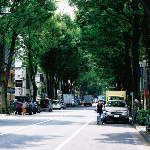ストレイテナー / The Ordinary Road【初回限定盤B】【CD】【+Blu-ray】
