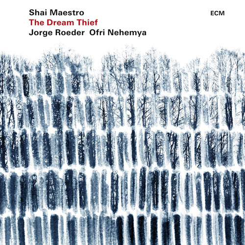 シャイ・マエストロ / ザ・ドリーム・シーフ【CD】【SHM-CD】