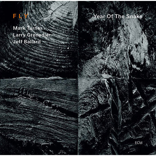 フライ・トリオ / イヤー・オブ・ザ・スネイク【期間限定盤】【CD】【SHM-CD】