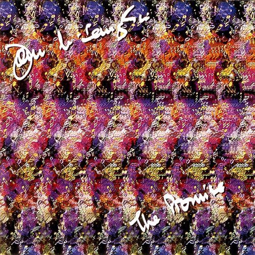 ジョン・マクラフリン / ザ・プロミス【CD】【SHM-CD】