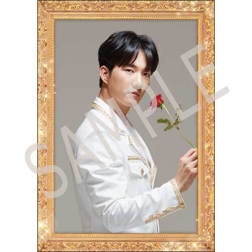 SUPERNOVA / ★博9 ホストカードセット(5枚セット)