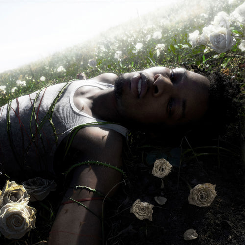 デイヴィッド / ウィザード【ジャパン・スペシャル・エディション】【CD】