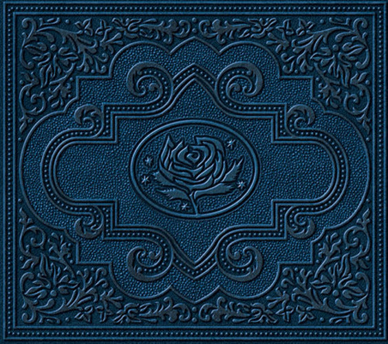 ライアン・アダムス&ザ・カーディナルズ / コールド・ローゼズ【CD】