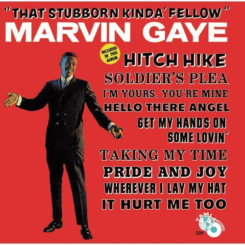 マーヴィン・ゲイ / スタボン・カインダ・フェロウ【生産限定盤】【CD】