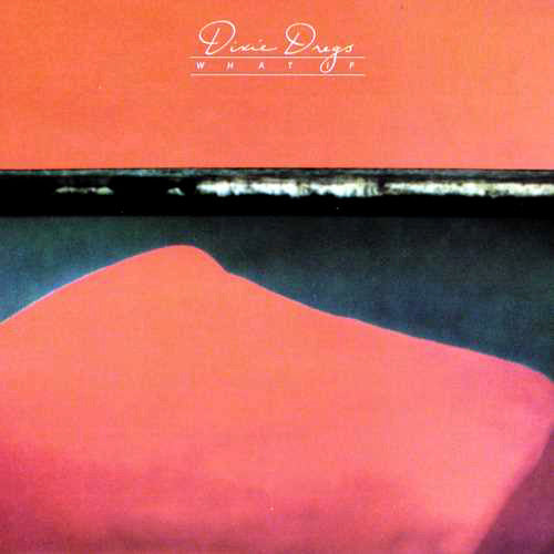 ディキシー・ドレッグス / ホワット・イフ【限定盤】【CD】