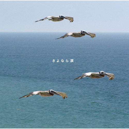 ビリー・バンバン / さよなら涙【CD MAXI】