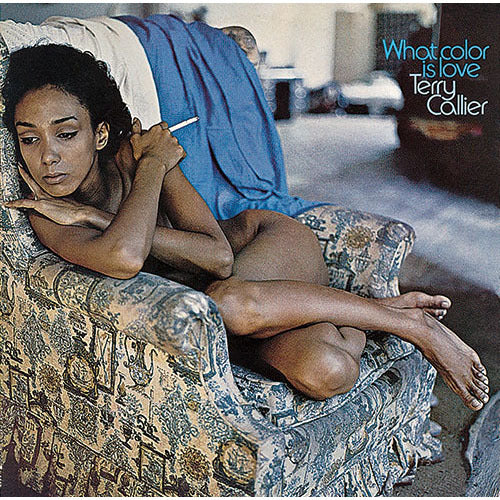 テリー・キャリアー / ホワット・カラー・イズ・ラヴ【アナログ】
