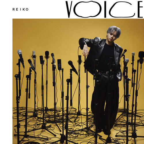 REIKO / VOICE【Love you deeper盤】【UNIVERSAL MUSIC STORE限定 早期予約キャンペーン応募商品】【A賞「REIKO One-man tour "VOICE"」チケット先行応募シリアルコード+早期予約ポストカード】【CD】【+DVD】