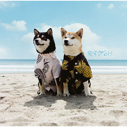 キマグレン / リメンバー【CD MAXI】