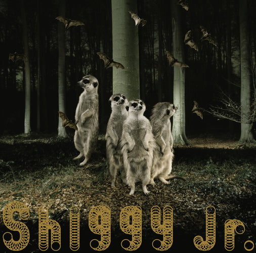 Shiggy Jr. / GHOST PARTY【通常盤】【CD MAXI】