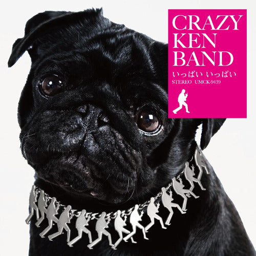 クレイジーケンバンド / いっぱい いっぱい【初回限定盤】【CD MAXI】【+DVD】