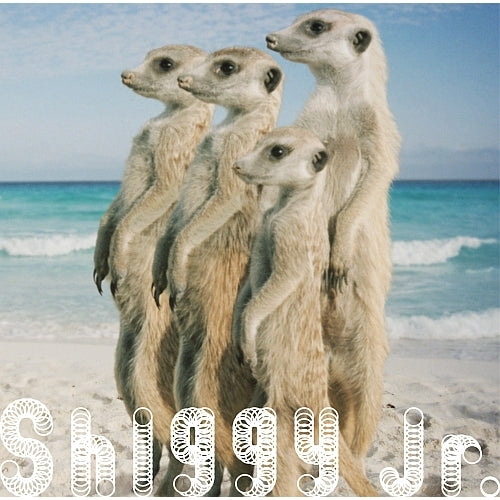 Shiggy Jr. / サマータイムラブ【初回限定盤】【CD MAXI】【+DVD】