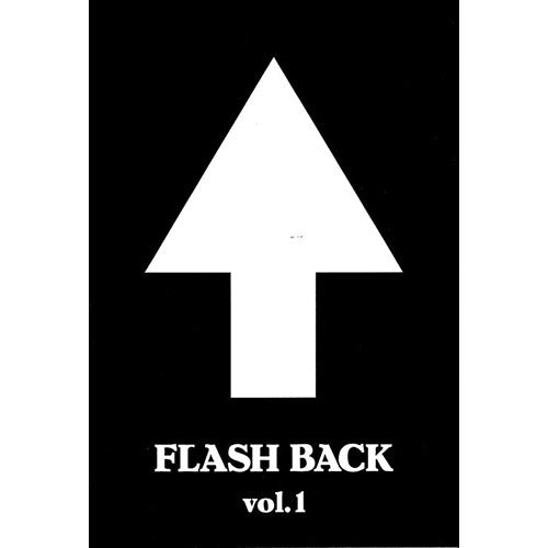 ザ・ハイロウズ / FLASH BACK vol.1【DVD】