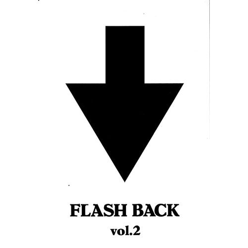 ザ・ハイロウズ / FLASH BACK vol.2【DVD】