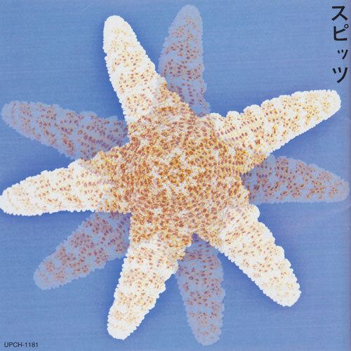 スピッツ / スピッツ【CD】【SHM-CD】