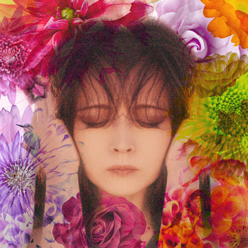 中森明菜 / FIXER【CD】【UHQCD】