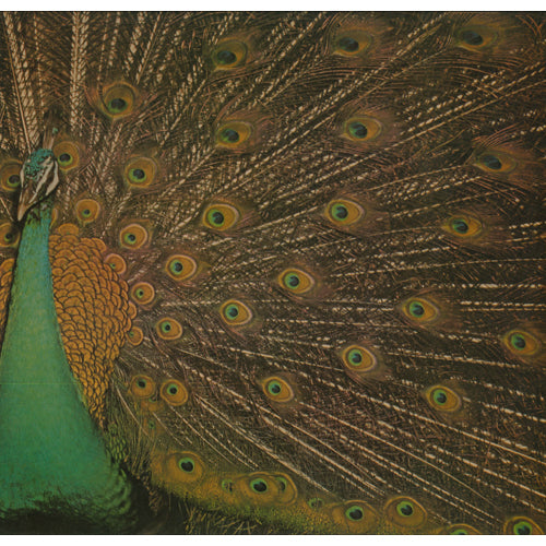 アリス / ALICE III +2【初回生産限定盤】【CD】【SHM-CD】【+ブックレット】