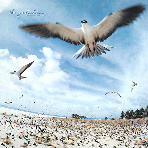 高中正義 / SEYCHELLES【初回生産限定盤】【アナログ】