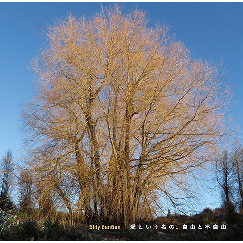 ビリー・バンバン / 愛という名の、自由と不自由【CD】
