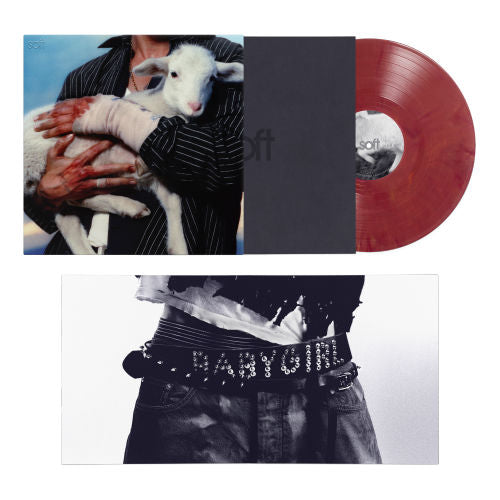 LANY / Soft Vinyl【輸入盤】【1LP】【アナログ】 – UNIVERSAL MUSIC STORE