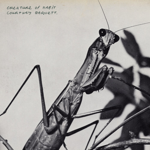 コートニー・バーネット / Creature of Habit [LP]【輸入盤】【1LP