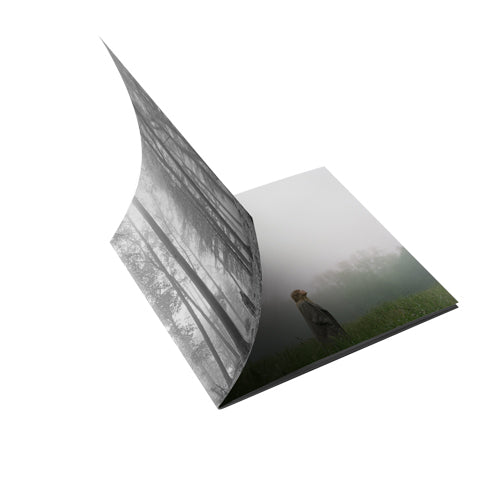 テイラー・スウィフト / folklore【1. the “in the trees” edition deluxe cd】【輸入盤】【CD】