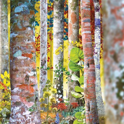 デヴィッド・シルヴィアン / Do You Know Me Now?【輸入盤】【UNIVERSAL MUSIC STORE限定盤】【10CD】【CD】