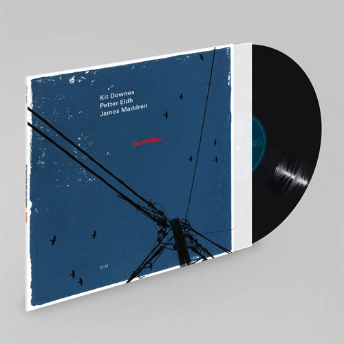 キット・ダウンズ / ヴァーミリオン【直輸入盤】【180g重量盤LP】【アナログ】