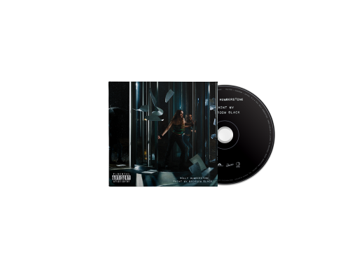 ホリー・ハンバーストーン / Paint My Bedroom Black 【輸入盤】【1CD】【CD】