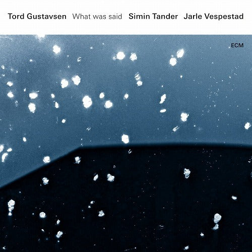 トルド・グスタフセン / What Was Said【輸入盤180g重量盤2LP】【アナログ】