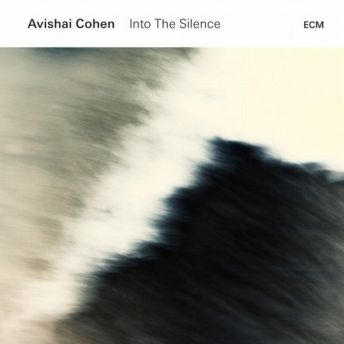 アヴィシャイ・コーエン / Into The Silence【輸入盤180g重量盤2LP】【アナログ】