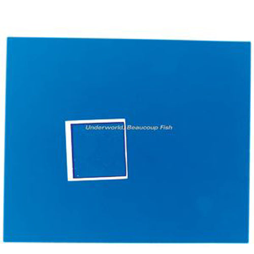 アンダーワールド / BEAUCOUP FISH-SUPER DELUXE【輸入盤】【2LP】【アナログ】
