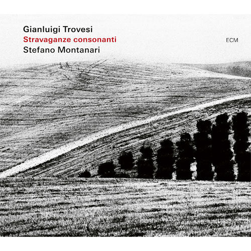 ジャンルイージ・トロヴェシ、ステファノ・モンタナーリ / Stravaganza Consonanti【直輸入盤】【CD】